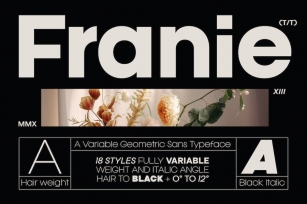 Franie Geometric Sans Font Font Download