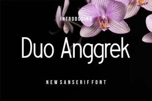 Duo Anggrek Fonts Font Download