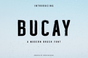 Bucay Brush Font Font Download