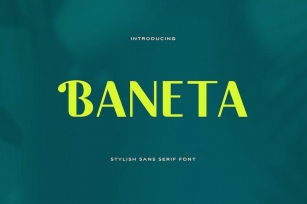 Baneta Stylish Sans Serif Font Download