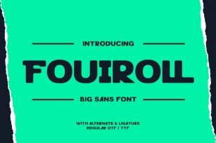 Fouiroll - Big Sans Font Font Download