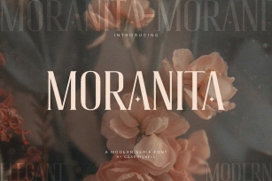 Moranita Elegant Serif Font Font Download