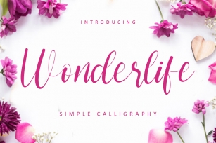 Wonderlife Font Download