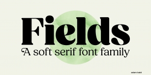 Fields Display Font Download