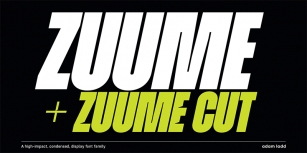 Zuume Cut Font Download