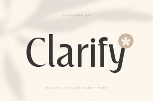Clarify - Modern Stylish Fancy Font Font Download