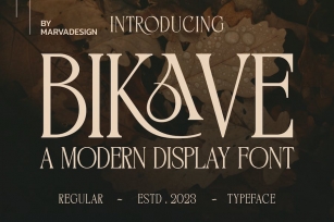 BIKAVE - A Modern Display Font Font Download