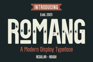 ROMANG - A Modern Display Font Font Download