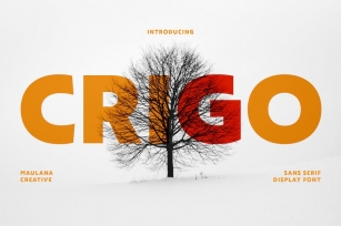Crigo Display Font Font Download