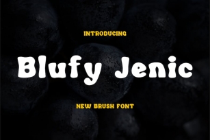 Blufy Jenic Fonts Font Download