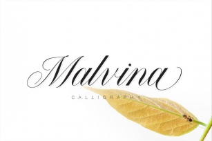 Malvina Font Download