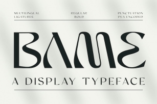 Bame Typeface Font Download