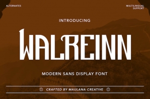 Walreinn Modern Sans Display Font Font Download