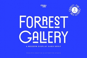Forrest Gallery Modern Display Font Font Download