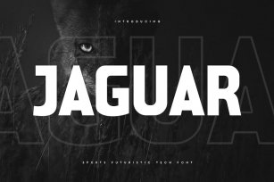 Jaguar - Sports Futuristic Tech Font Font Download