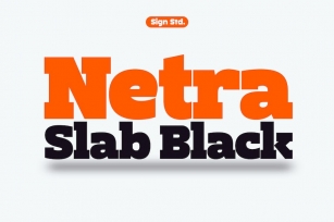 Netra Slab - Black Font Download