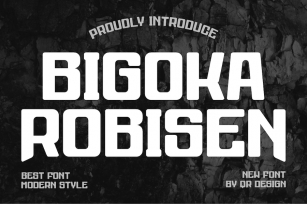Bigoka Robisen Font Download