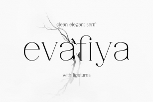 Evafiya - Clean Serif Font Font Download