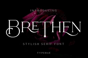 Brethen - Stylish Serif Font Font Download