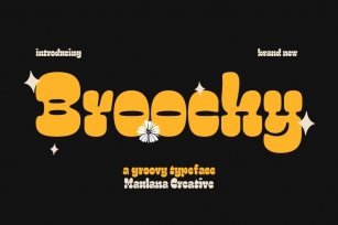 Broochy Groovy Typeface Display Font Font Download