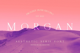 Morgan - Clean Serif Font Font Download