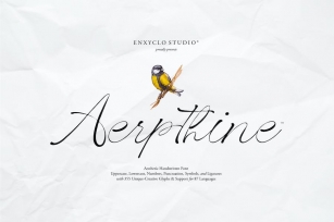 Aerpthine - Aesthetic Script Font Font Download
