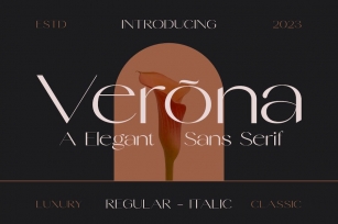 Verona - A Modern Sans Serif Font Font Download