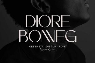 Diore Bonneg - Aesthetic Display Font Font Download