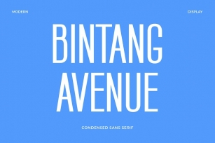 Bintang Avenue - Modern Sans Serif Font Font Download