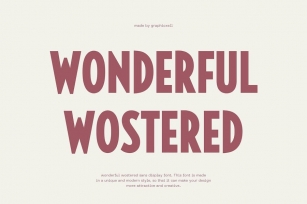 Wonderful Wostered Display Sans Font Typeface Font Download