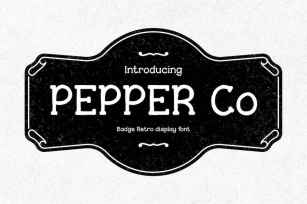 Pepper Co - Vintage Grunge Font Font Download