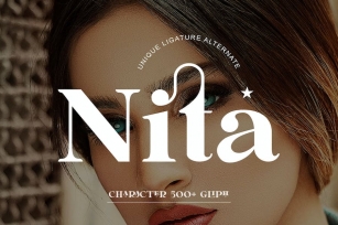 Nita Unique Serif Typeface Font Download