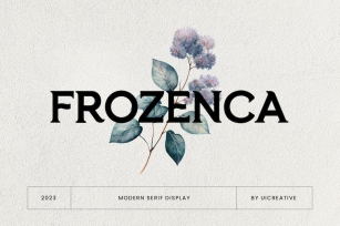 Frozenca Modern Serif Font Font Download