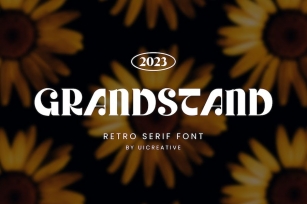 Grandstand Retro Serif Font Font Download