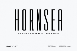 Hornsea FC | Condensed Sans Serif Font Family Font Download