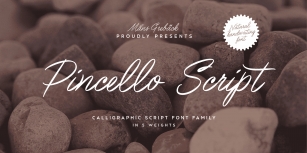 Pincello Scrip Font Download