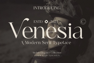 Venesia - A Modern Serif Font Font Download