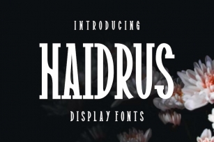 Haidrus Font Download