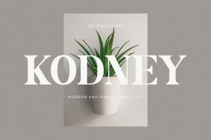 Kodney - Modern Serif Font Font Download