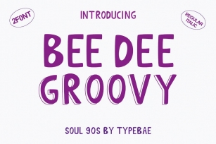 Bee Dee Groovy Display Font Font Download