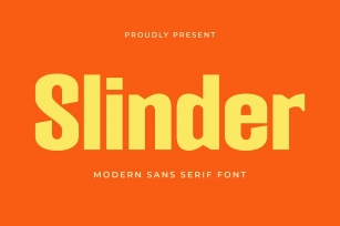 Slinder - Modern Sans Serif Font Download