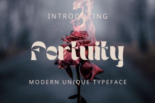 Fortuity Font Download