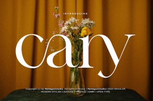 Cary | Classy Serif Font Font Download