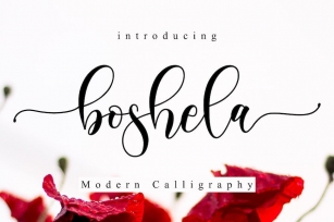 Boshela - Beautiful Script Font Font Download