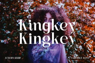 Kingkey - Serif Family Font Download