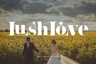 LushLove - Serif Font Font Download
