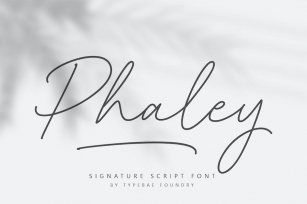 Phaley Script Font Font Download
