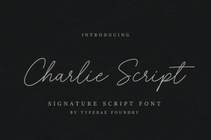 Charlie Script Font Font Download