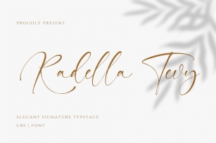 Radella Tevy Modern Signature Handwriting Font Font Download