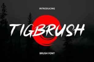 Tigbrush - Natural Brush Font Font Download